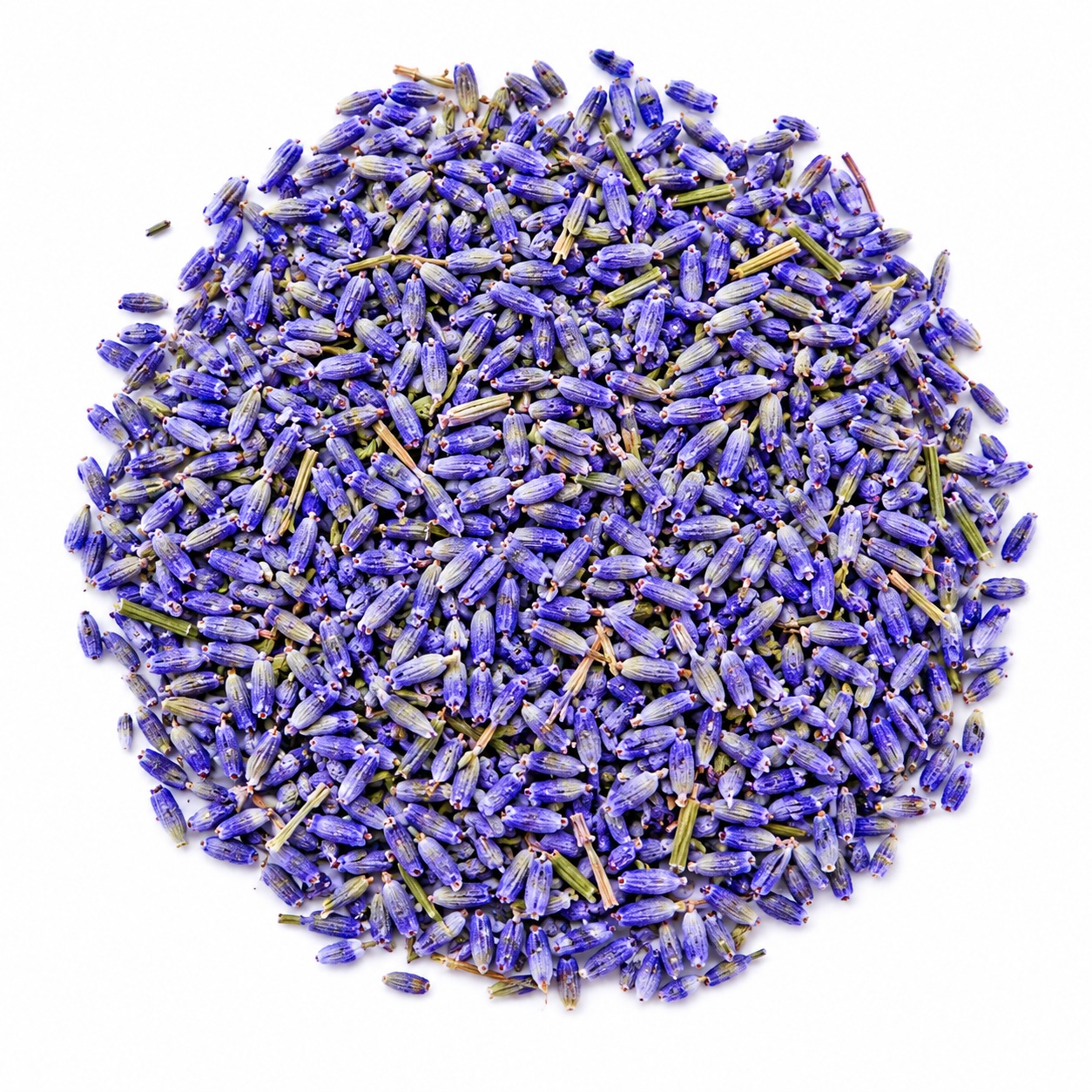 Lavender Flowers